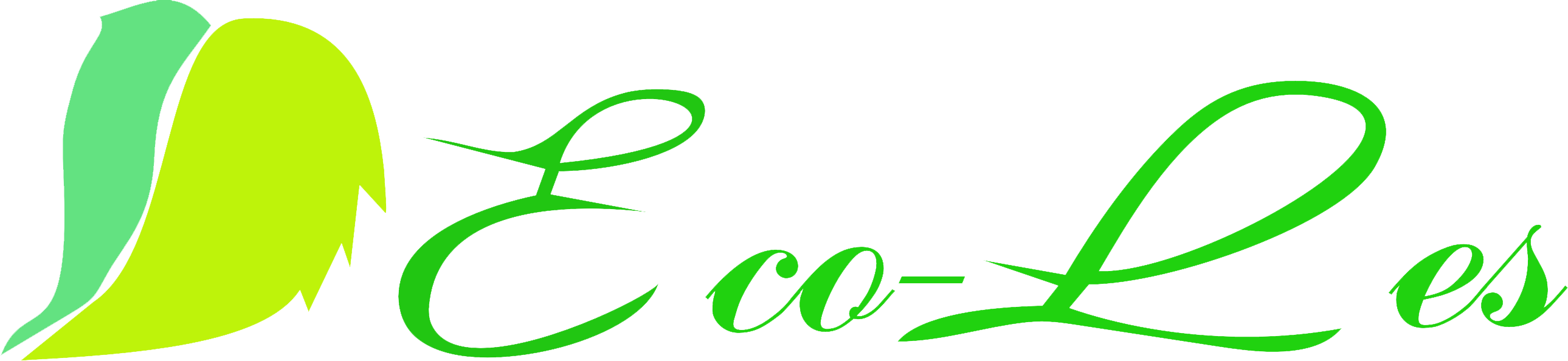 logo----.png